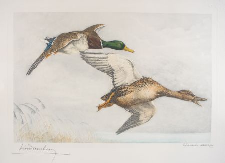 Radierung Danchin - 03 Canards sauvages - A couple of Mallards flying (Original)