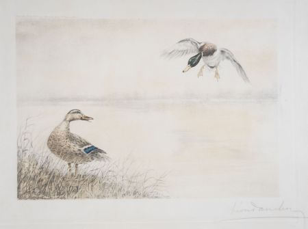 Radierung Danchin - 05 Canards se posant - Two Ducks landing (Original)