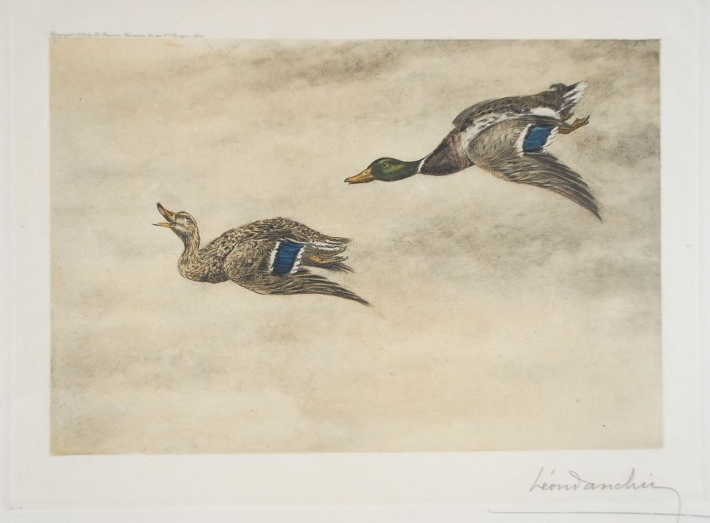 Radierung Danchin - 06 Canards de passage - Two passing Ducks (Original)