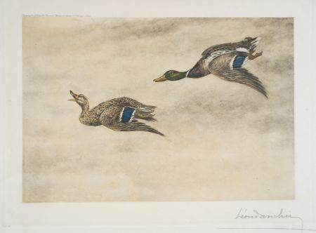 Radierung Danchin - 06 Canards de passage - Two passing Ducks (Original)