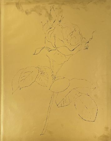 Lithographie Warhol - A Gold Book
