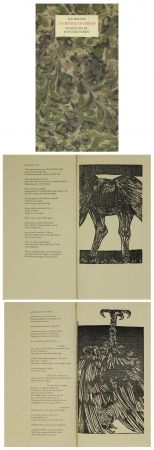 Illustriertes Buch Baskin - A Primer of Birds