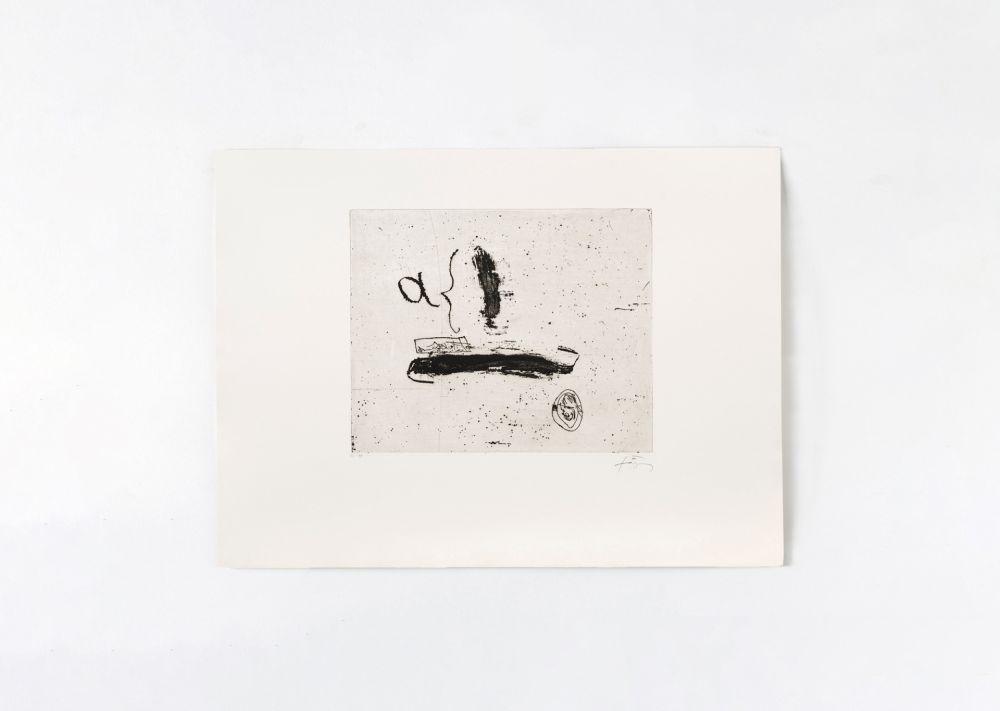 Stich Tàpies - Alpha 