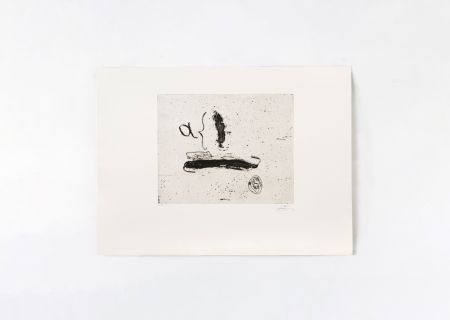 Stich Tàpies - Alpha 