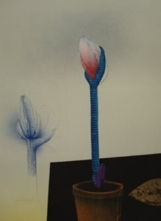 Lithographie Wunderlich - Amaryllis