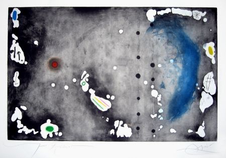 Radierung Und Aquatinta Miró - Archipel sauvage 1