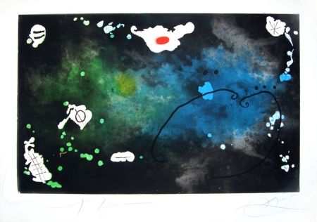 Stich Miró - Archipel sauvage n° 4