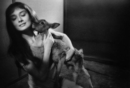 Fotografie Willoughby - Audrey Hepburn and deer