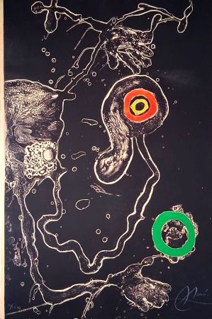 Stich Miró - Barcelona