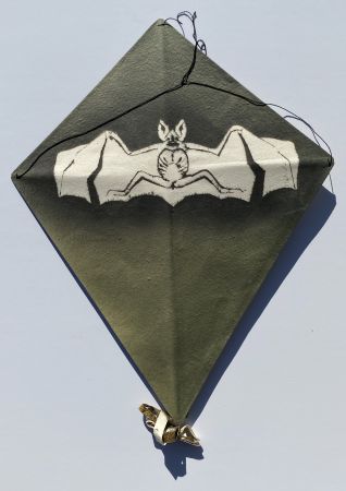 Keine Technische Toledo - Bat on Green Background Kite