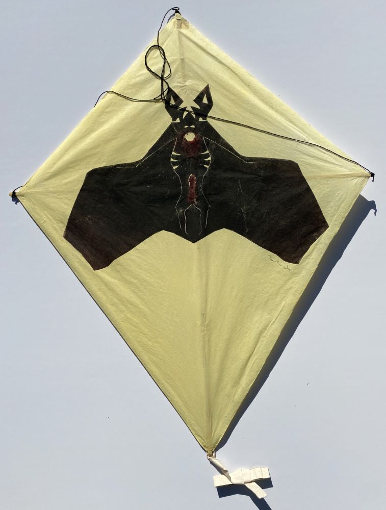 Keine Technische Toledo - Bat on Yellow Background Kite