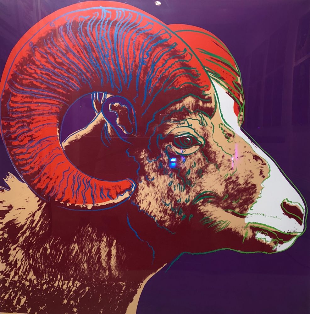 Siebdruck Warhol - Bighorn Ram TP (FS II.302)