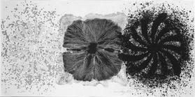 Lithographie Rosenquist - Black Tie