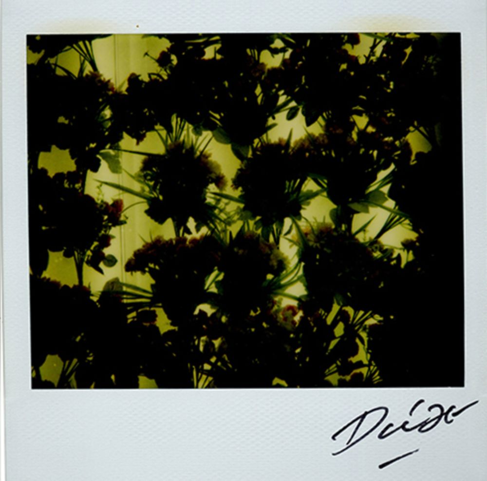 Multiple Moriyama - Bye-Bye Polaroid 4