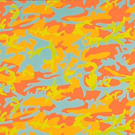 Siebdruck Warhol - Camouflage 413 by Andy Warhol