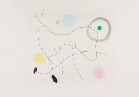 Stich Miró - Crapaud Lyre