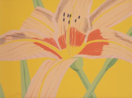 Lithographie Katz - Day Lily II