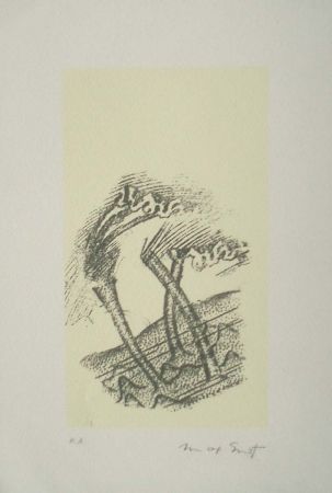 Lithographie Ernst - Desert plisses