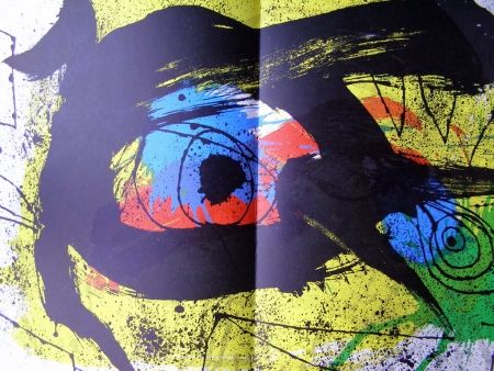 Illustriertes Buch Miró - DLM 203