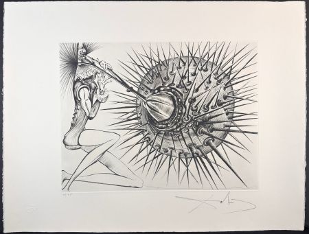 Stich Dali - Don Quichotte et l'oursin