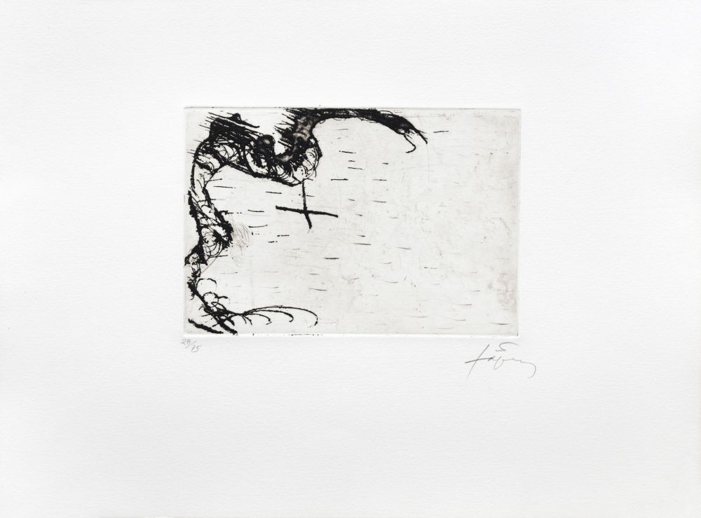 Stich Tàpies - Dragon 