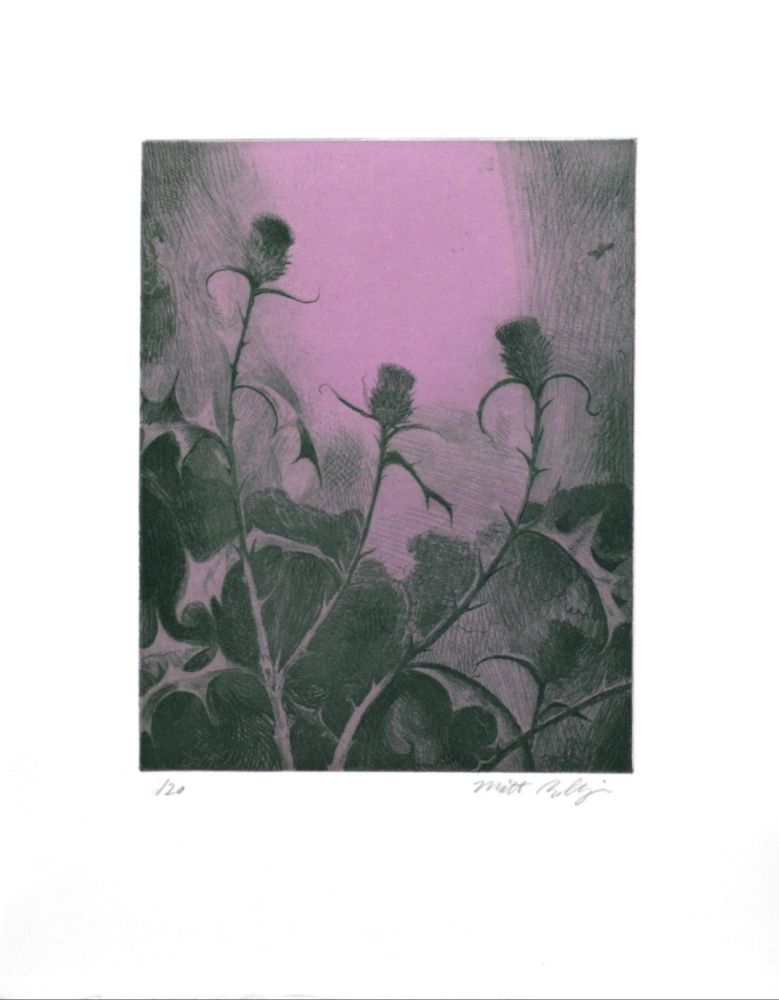 Stich Bollinger - Dusk Thistle