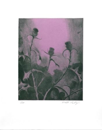 Stich Bollinger - Dusk Thistle