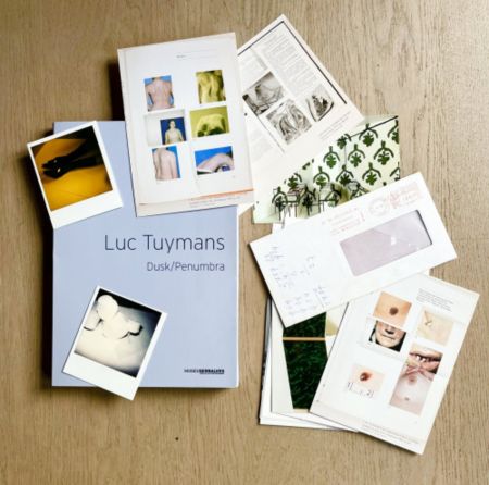 Multiple Tuymans - Dusk/Penumbra (book)