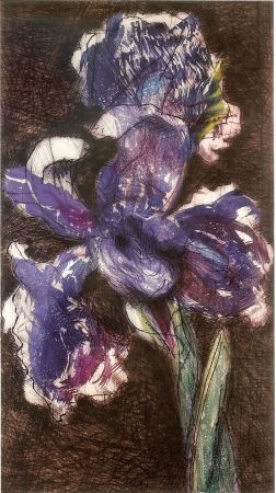 Lithographie Kentridge - Dutch Iris II