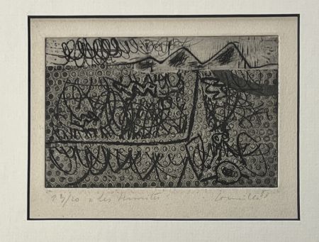 Radierung Corneille - Eau-forte encadrée Les termites 1953 Numéro 3/20