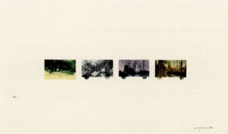 Lithographie Perejaume - El bosc a casa-2