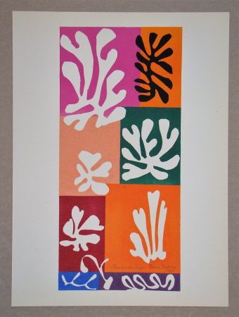 Lithographie Matisse (After) - Fleur De Neige - 1951