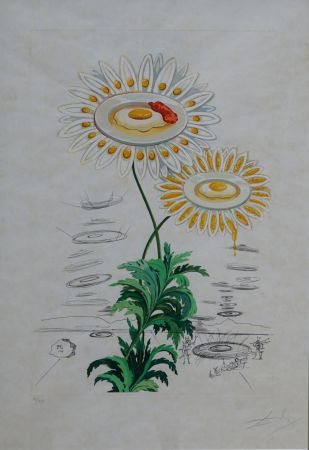 Stich Dali - Flora Dalinae Chrysanthemum