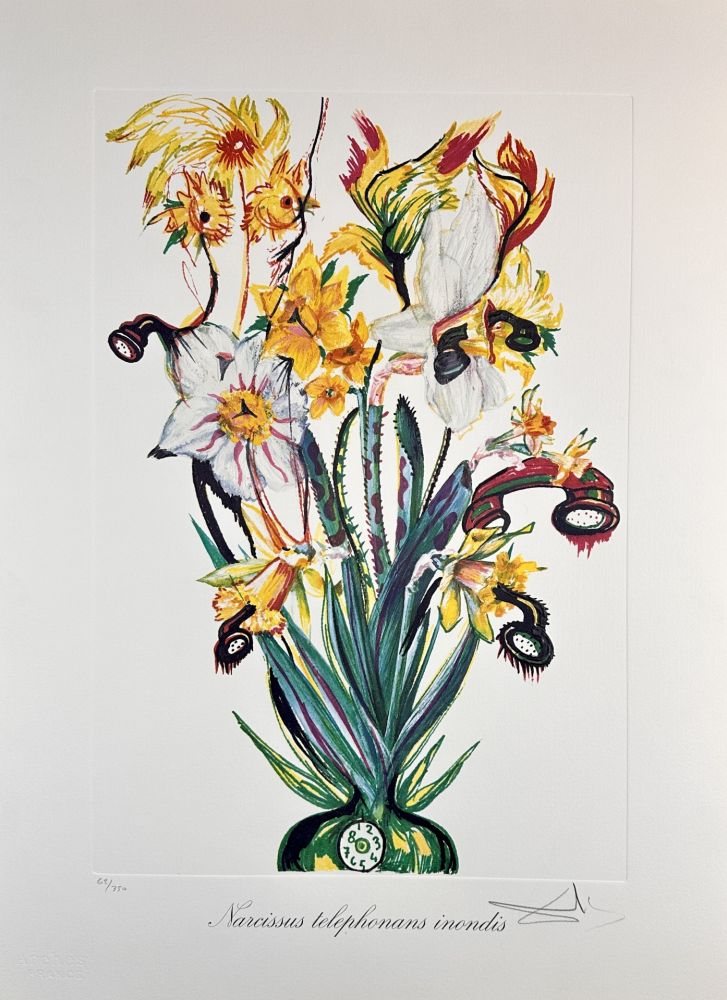 Stich Dali - Florals Daffodils of Love