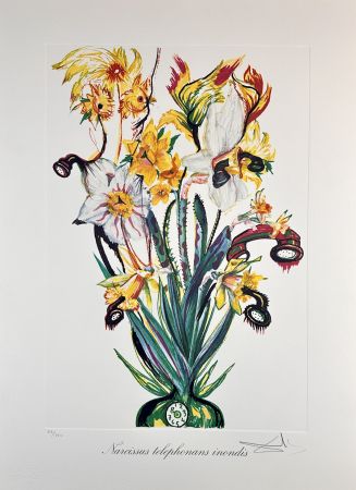 Stich Dali - Florals Daffodils of Love