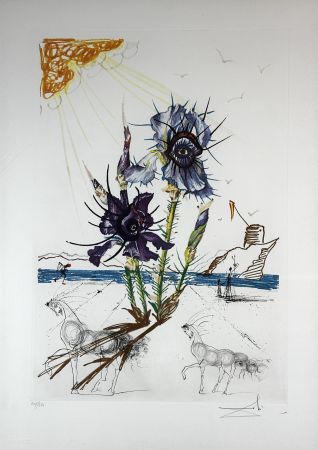 Stich Dali - Florals Iris