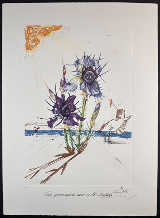 Stich Dali - Florals Iris of Dali's Youth