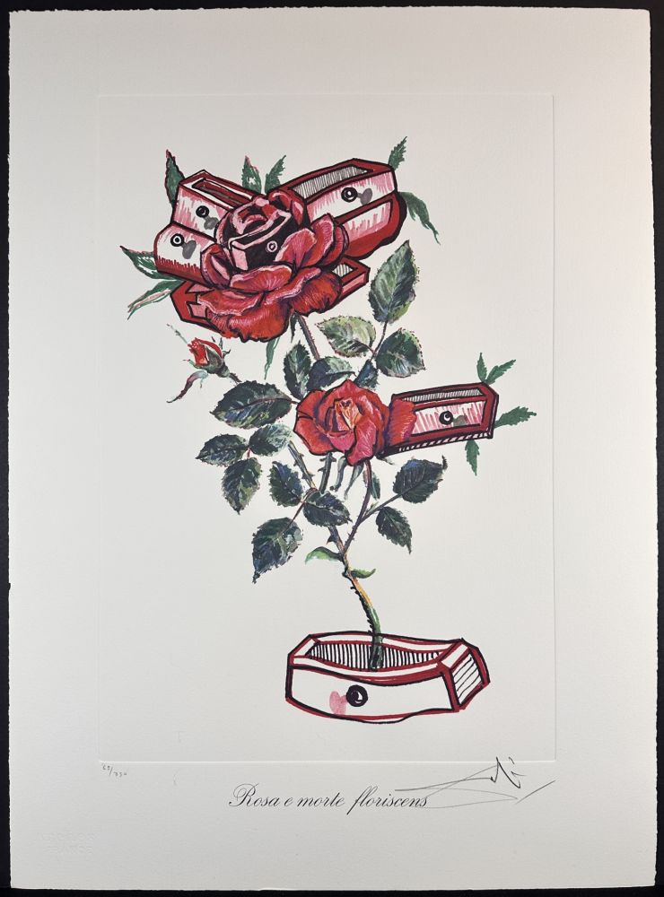 Stich Dali - Florals Roses of Memory