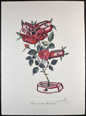 Stich Dali - Florals Roses of Memory
