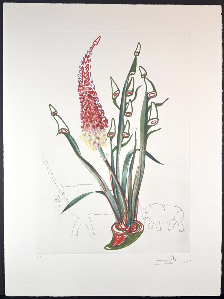 Stich Dali - Florals Stock Rhinos