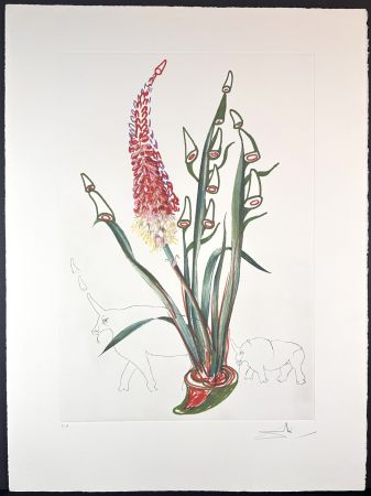 Stich Dali - Florals Stock Rhinos