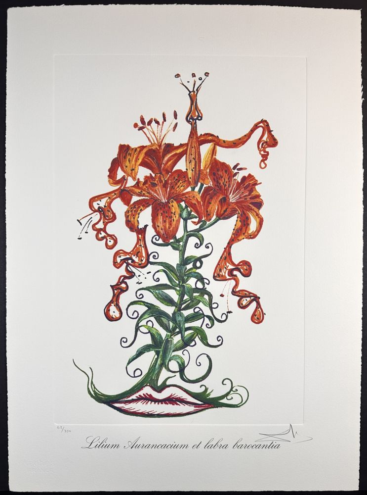Stich Dali - Florals Tiger Lilies of The Theatre