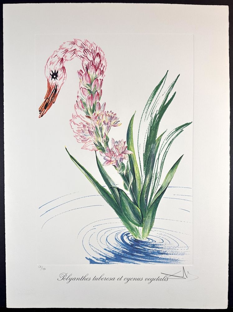 Stich Dali - Florals Water-Hybiscus Swan