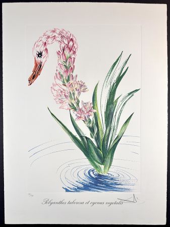 Stich Dali - Florals Water-Hybiscus Swan