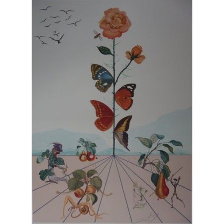 Lithographie Dali - Flordali II : la rose papillon