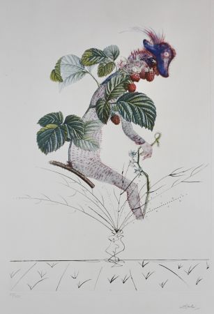 Stich Dali - FlorDali/Les Fruits Raspberry