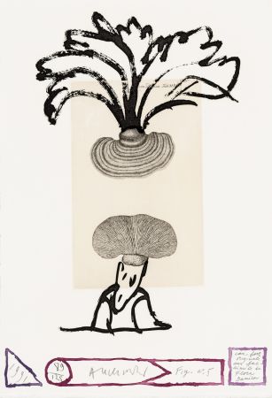 Radierung Alechinsky - Flore danoise 05 - Panaches