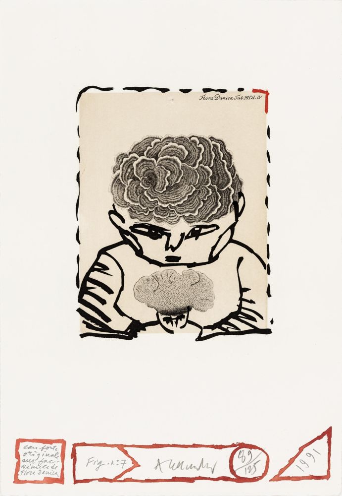 Radierung Alechinsky - Flore danoise 07 - L'enfant sourcier