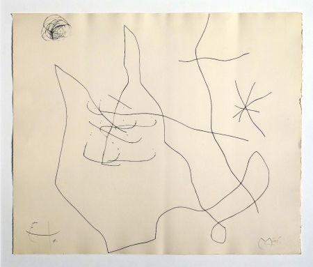 Stich Miró - Flux de l'aimant
