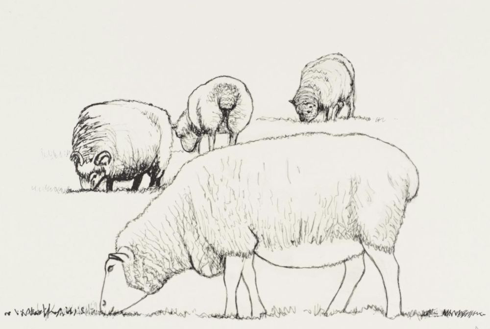 Lithographie Moore - Four Sheep Grazing